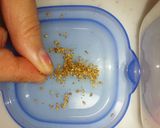 豚肉の味噌漬け作り方2写真