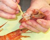 海老とタコのアラビアータ作り方2写真
