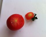 ＊プチトマトのキムチ漬け＊居酒屋さん風♪作り方1写真