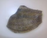 かれいの照り焼き作り方1写真