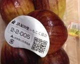 いちじく甘露煮作り方16写真
