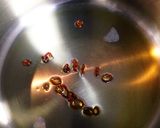 ピリ辛♫自家製メンマ♡作り方2写真