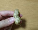 簡単 落花生のむき方作り方1写真