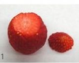 いちごのサンタケーキ作り方1写真