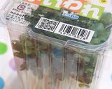 かいわれ大根の一先ず保存はこれ！作り方1写真