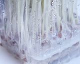 かいわれ大根の一先ず保存はこれ！作り方8写真
