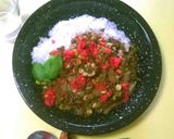 イカトンキーマカレー作り方9写真