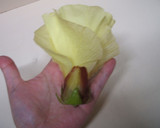 おくらと山芋の和え物～おくらの花添え～作り方5写真