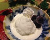 牛乳で作ろう✿簡単アイスクリーム作り方6写真