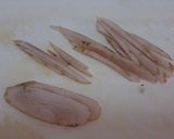 ゴボウのゴマ酢和え作り方1写真