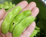 農家さん直伝！美味しい枝豆のゆで方✨作り方1写真