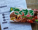 氷見の麩で夏野菜カレ～作り方1写真