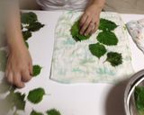大葉のニンニク醤油漬け　大量Ver作り方1写真