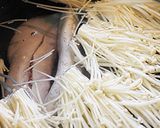 時短！ささみと梅肉の冷製パスタ風うどん！作り方7写真