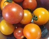 オトナのトマトソース作り方1写真