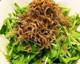水菜シャキシャキじゃこサラダ作り方4写真