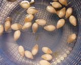 ＊かぼちゃの種＊お菓子用、おつまみにも！作り方1写真