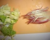 みょうがと白菜の塩昆布うめェ~~漬物☆作り方1写真