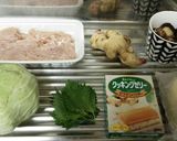 鶏ひき肉で餃子作り方1写真