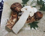 松茸の混ぜご飯作り方1写真
