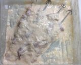 チキンティッカ作り方2写真