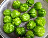 ひしの南蛮のおかか煮作り方1写真