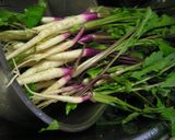 日野菜は 塩1本漬け♪作り方1写真
