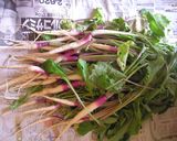 日野菜は 塩1本漬け♪作り方2写真