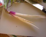 日野菜は 塩1本漬け♪作り方3写真