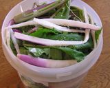 日野菜は 塩1本漬け♪作り方4写真