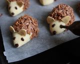 かわいい♥はりねずみココナッツクッキー作り方13写真