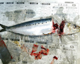 イワシの生姜煮＊梅風味＊子供に好評✨作り方1写真