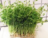 四川風味付け簡単！ピリ辛肉味噌丼作り方1写真