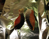 冷凍でも生でもふっくら切り身の焼魚作り方1写真