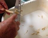 フライパンできんぴらごぼう作り方1写真