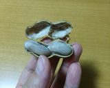 簡単 落花生のむき方作り方5写真