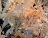 チキンのリヨネーズ風作り方5写真