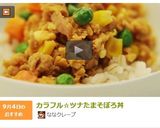 カラフル☆ツナたまそぼろ丼作り方6写真