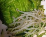 レタスの外葉で生春巻き風サラダ作り方8写真