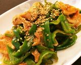 豚小間肉とピーマンのピリ辛炒め作り方5写真