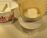 ダイエットにタンパク質系！満足ヨーグルト作り方3写真