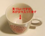 40代のアンチエイジングにシナモンミルク作り方2写真