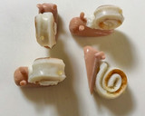 【簡単】キャラ弁 おかず かたつむり作り方7写真