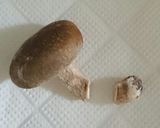 簡単 あんかけご飯♪作り方2写真