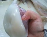 基本のイカ刺し作り方11写真