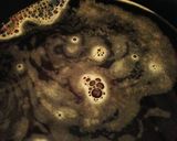 簡単！トロッと鶏胸肉と厚揚げの治部煮作り方4写真