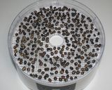 簡単☆食品乾燥機でドライブルーベリー作り方3写真