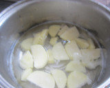 簡単♪じゃがいもと鶏肉のにんにく炒め作り方1写真