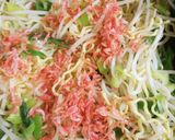 簡単、もやしたっぷり塩焼きそば作り方3写真