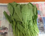これで長持ち!ほうれん草の保存法作り方1写真